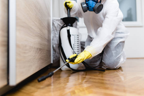 Best Wasp Removal Services  in Le Sueur, MN