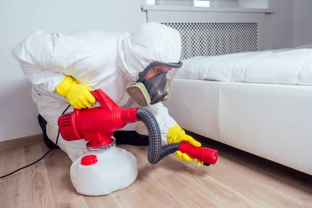 Best Flea Control Services  in Le Sueur, MN