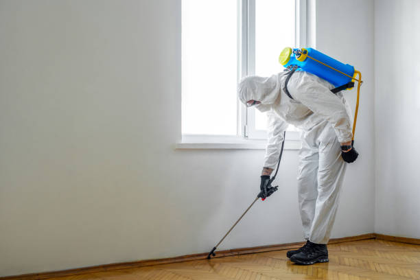 Best Pest Prevention Services  in Le Sueur, MN