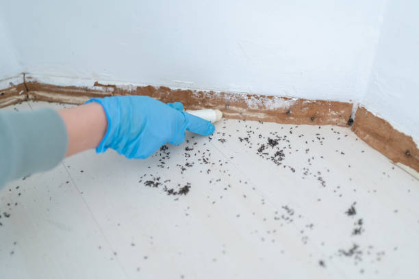 Best Residential Pest Control  in Le Sueur, MN